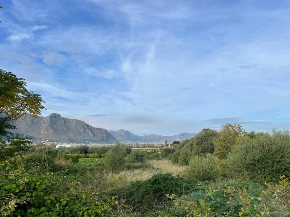 Terreno en Palermo, Palermo - foto 1