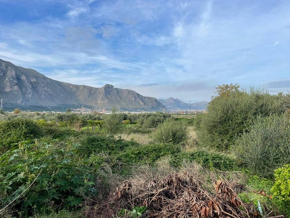 Terreno en Palermo, Palermo - foto 2
