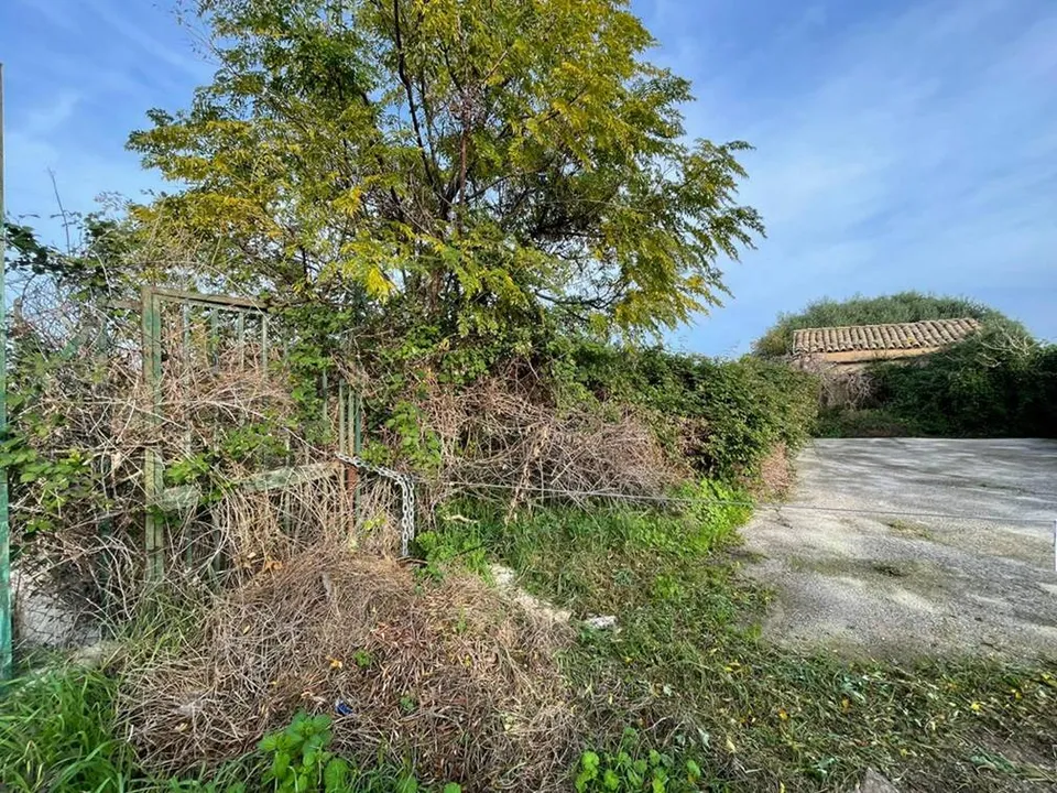 Terreno en Palermo, Palermo - foto 3