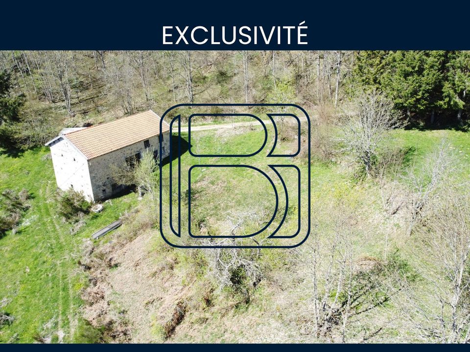 Farm i Ambert, Puy-de-Dome - foto 2