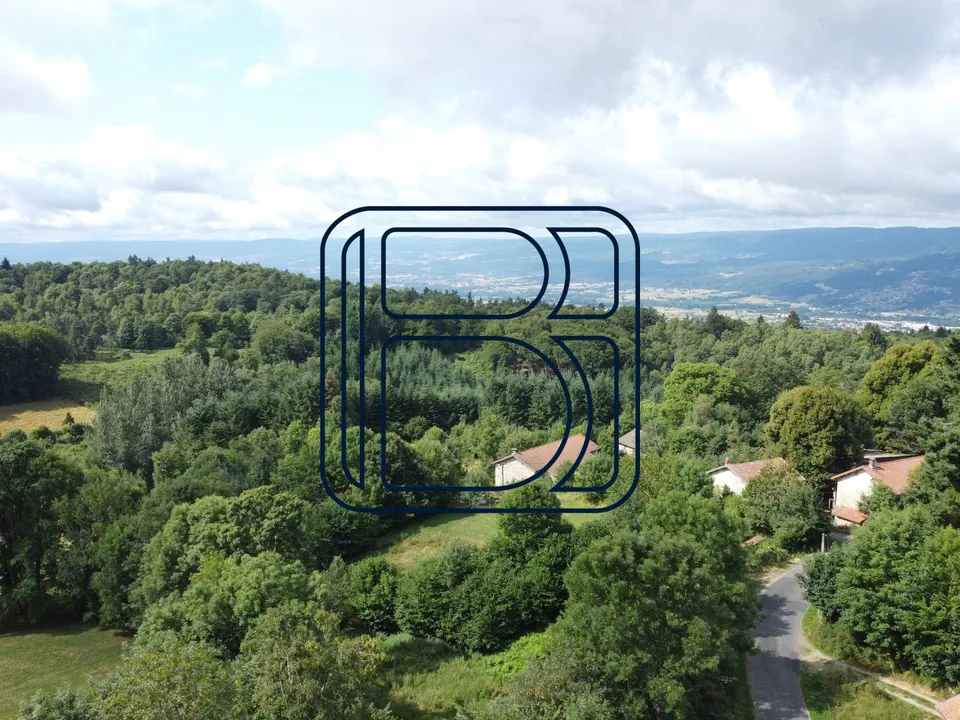 Farm i Ambert, Puy-de-Dome - foto 3