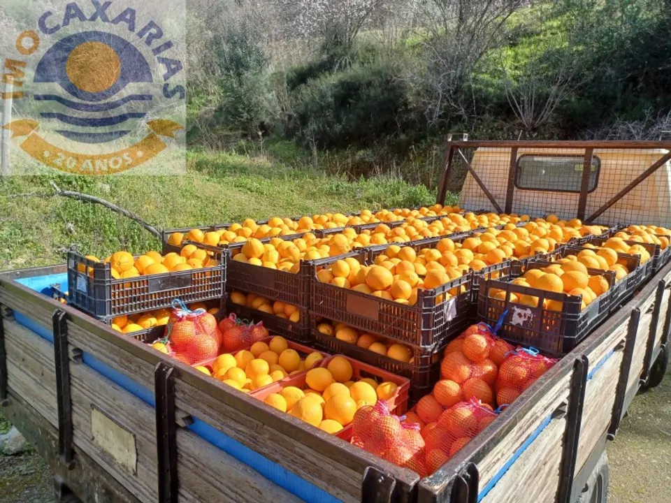 Farm i Freixo de Espada a Cinta, Braganca - foto 2