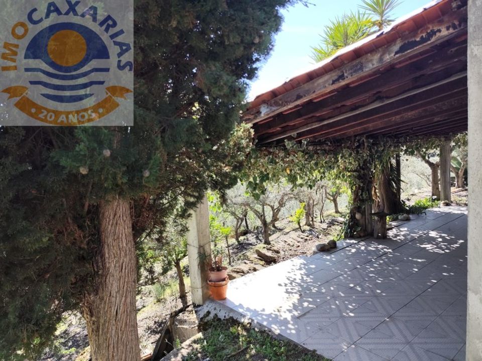Farm i Freixo de Espada a Cinta, Braganca - foto 5