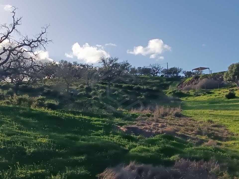 Helårsgrund i Castro Marim, Faro - foto 3