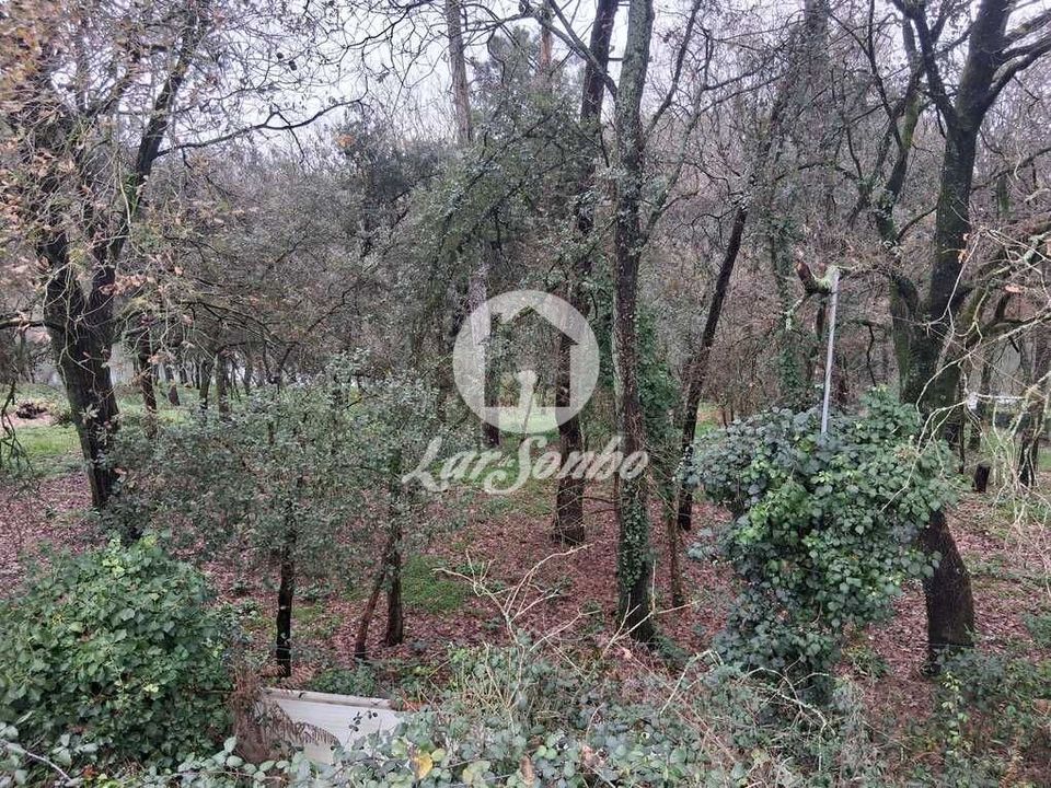 Helårsgrund i Barcelos, Braga - foto 5