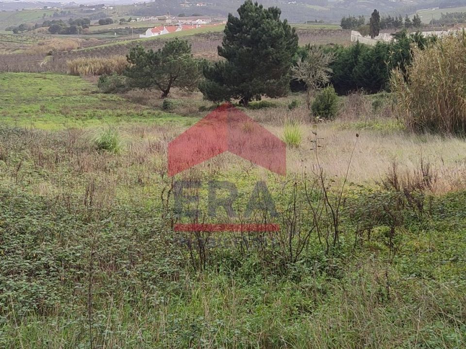 Helårsgrund i Bombarral, Leiria - foto 3