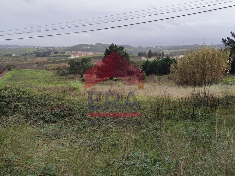 Helårsgrund i Bombarral, Leiria - foto 5