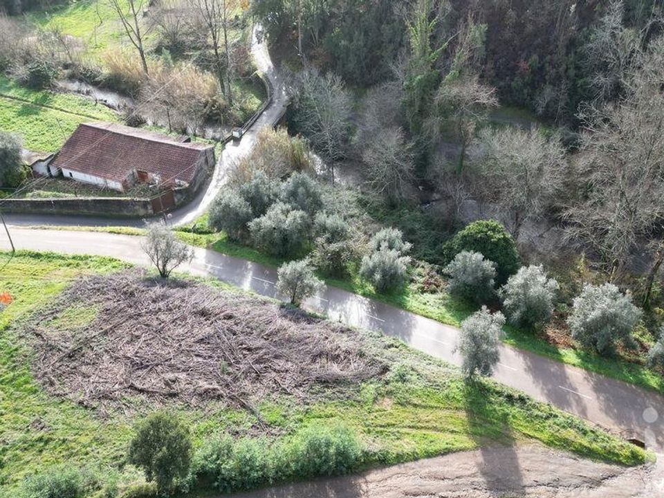 Działka: Miranda do Corvo, Coimbra – zdjęcie 3