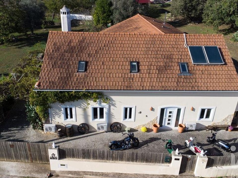 Farm i Ferreira do Zezere, Santarem - foto 3