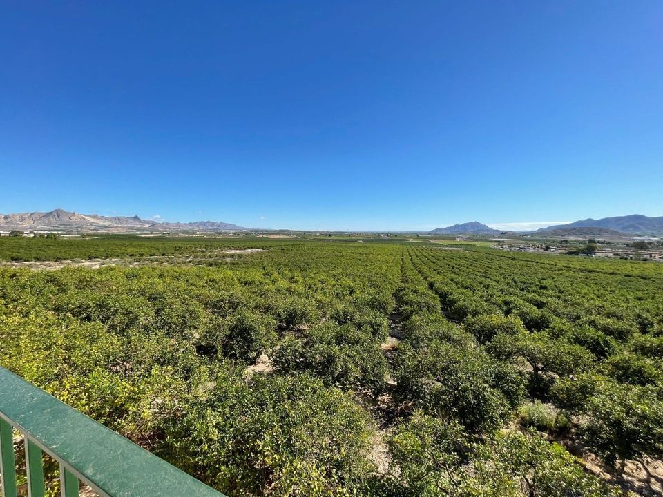 Villa i Murcia, Murcia - foto 3