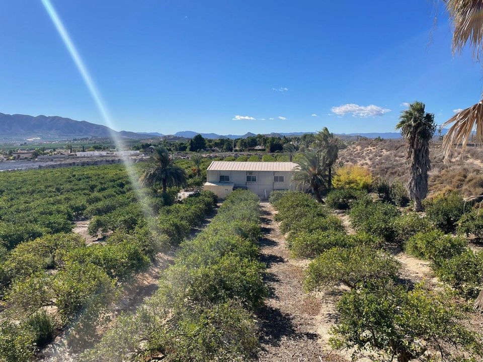 Villa i Murcia, Murcia - foto 4