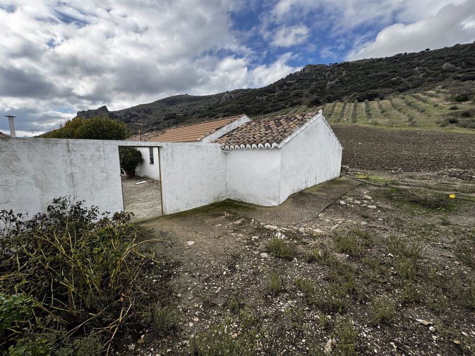 Landejendom i Montecorto, Malaga - foto 4