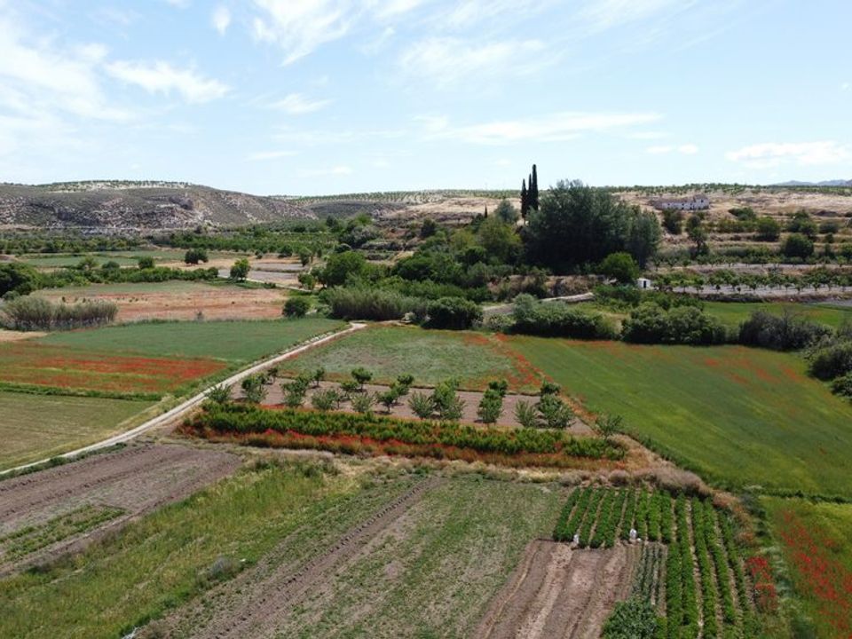 Landejendom i Galera, Granada - foto 4