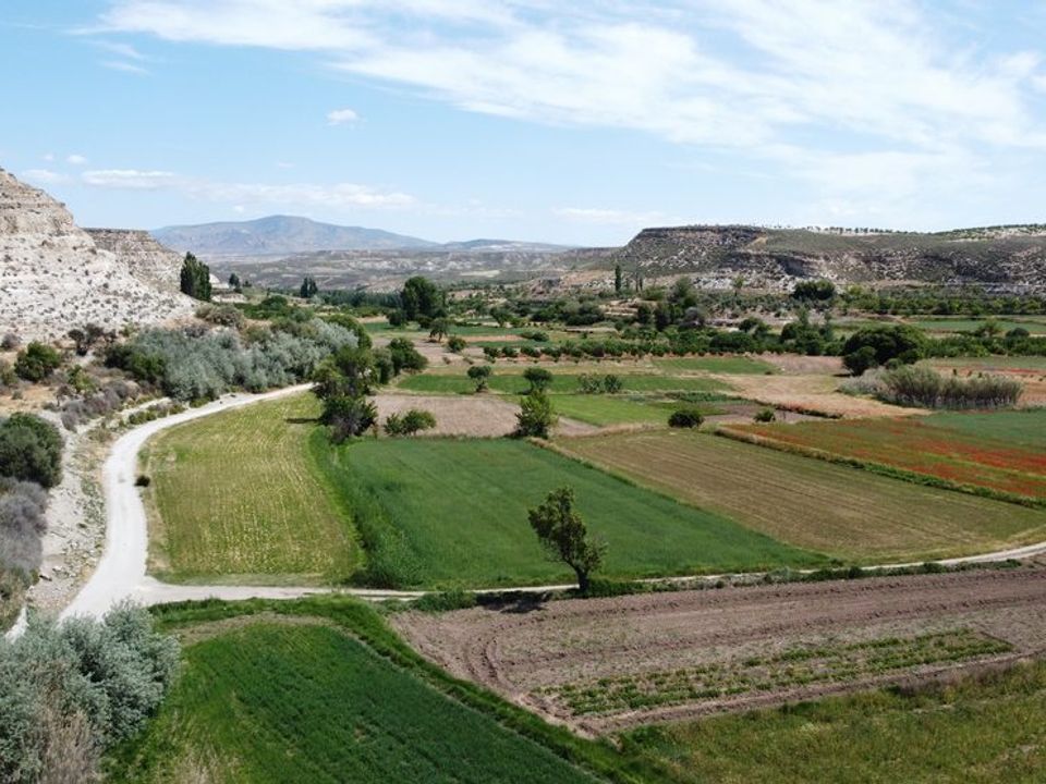 Landejendom i Galera, Granada - foto 5
