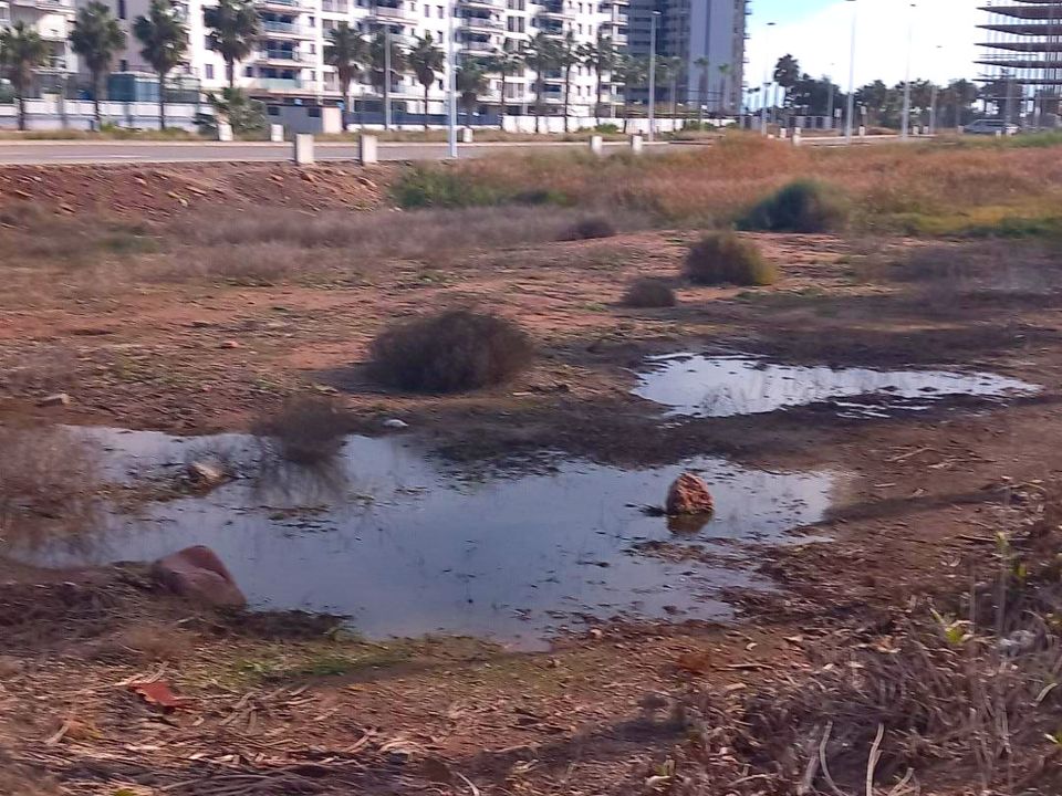 Helårsgrund i Grao De Moncofar, Castellon - foto 1