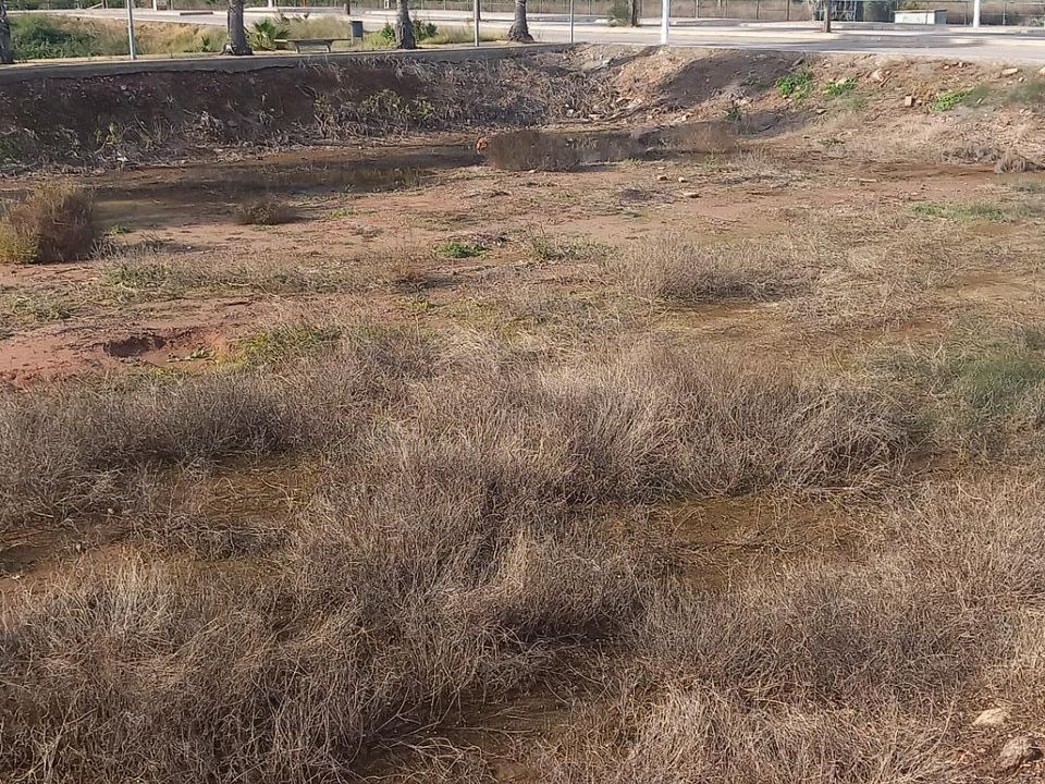 Helårsgrund i Grao De Moncofar, Castellon - foto 3