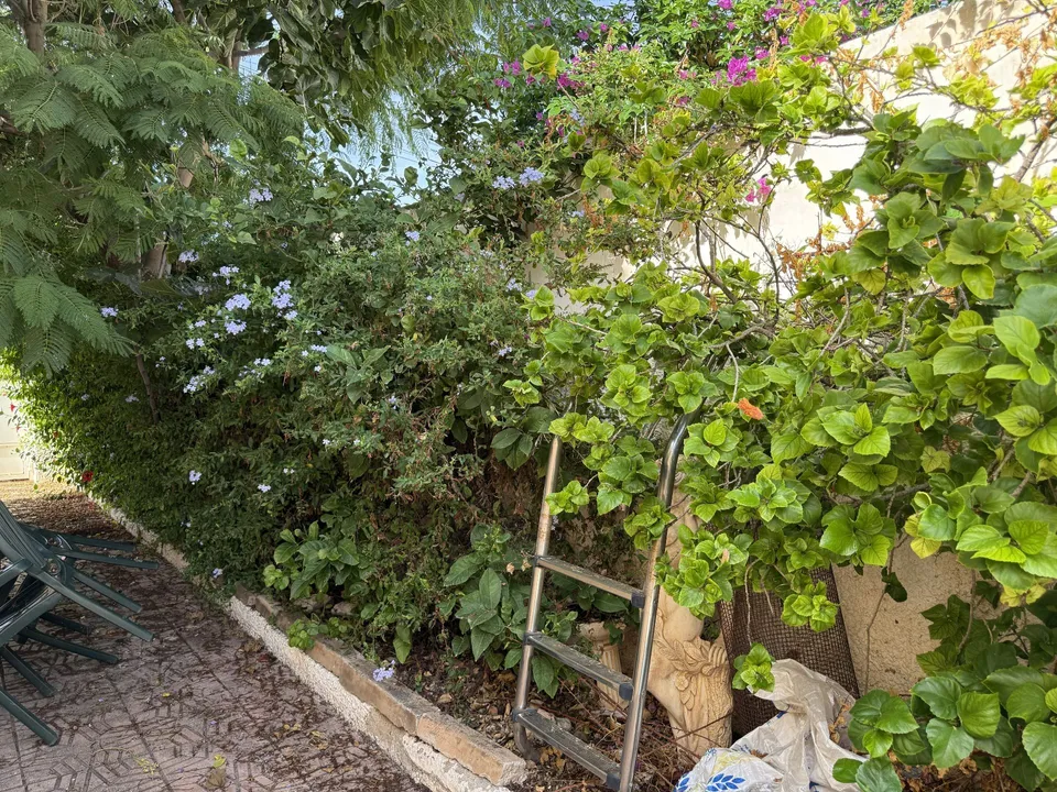 Villa i Bolnuevo, Murcia - foto 5