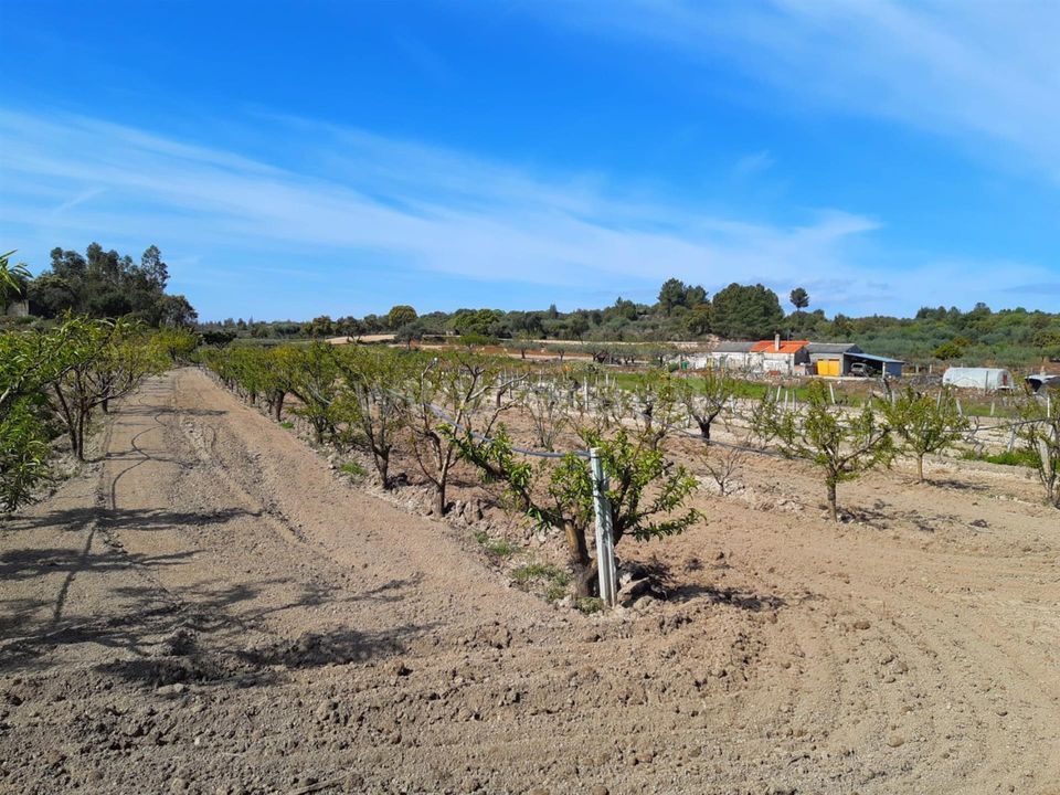 Landejendom i Fundao, Castelo Branco - foto 1