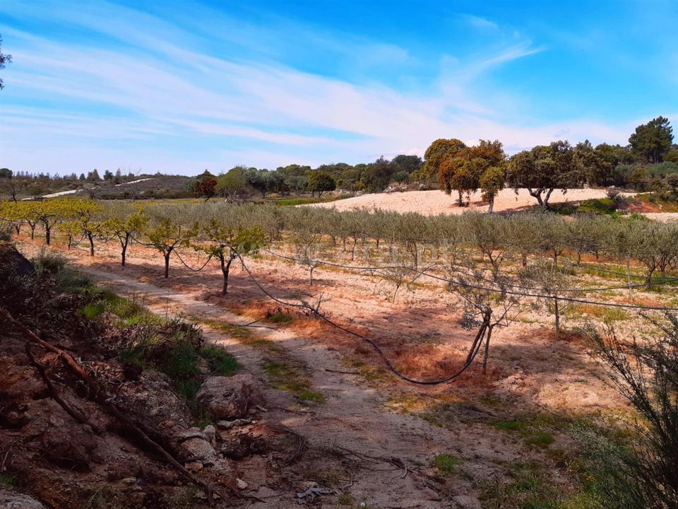 Landejendom i Fundao, Castelo Branco - foto 4