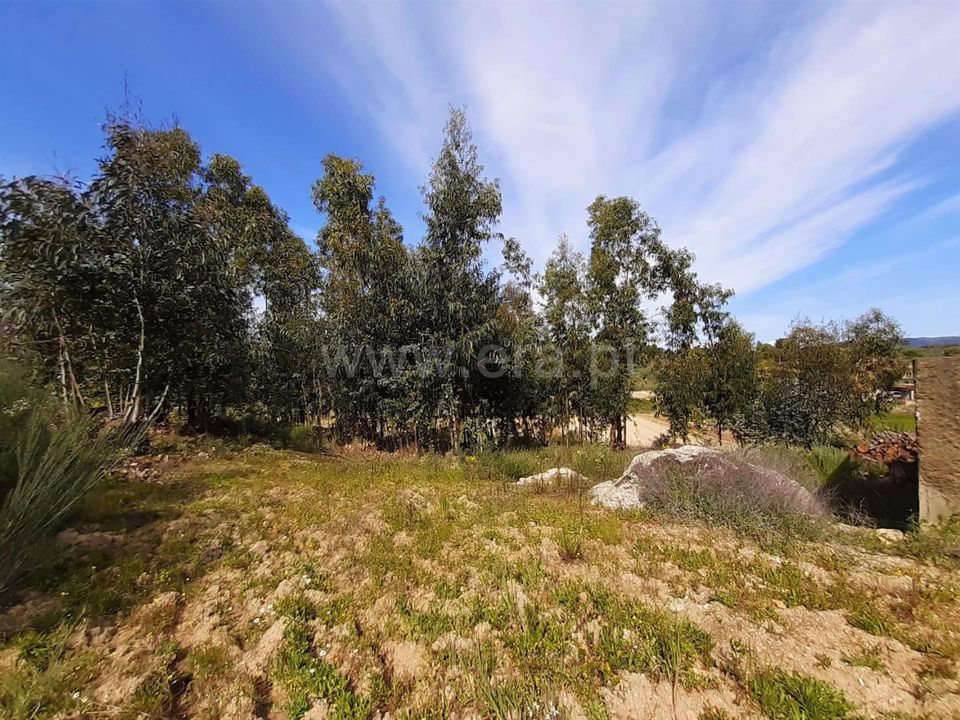 Landejendom i Fundao, Castelo Branco - foto 5