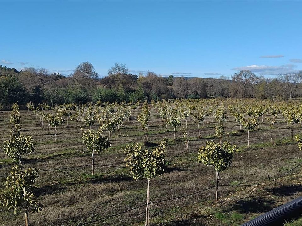 Erhvervsejendom i Penamacor, Castelo Branco - foto 1