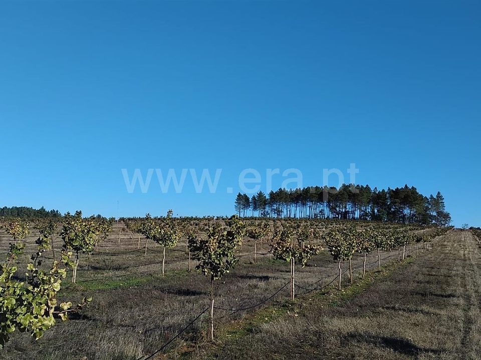 Erhvervsejendom i Penamacor, Castelo Branco - foto 4
