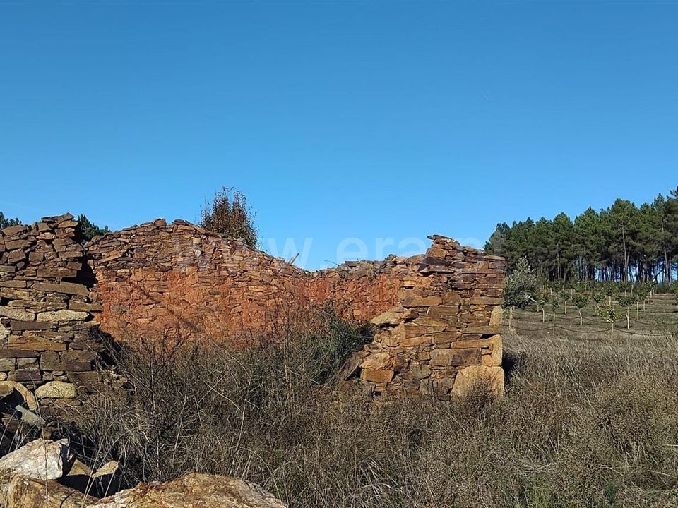 Erhvervsejendom i Penamacor, Castelo Branco - foto 5