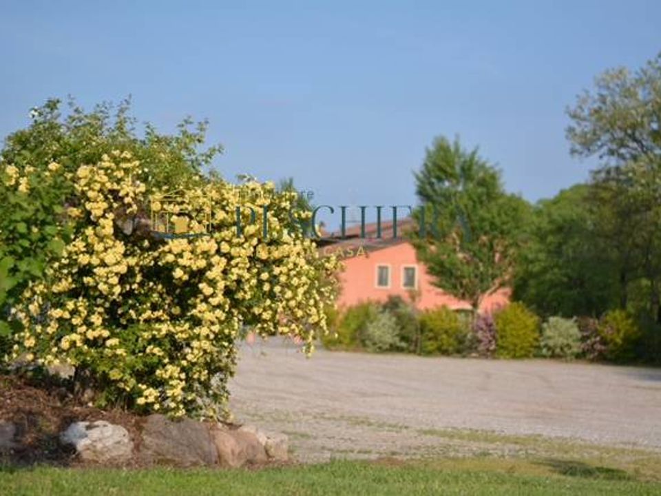 Farm i Valeggio sul Mincio, Verona - foto 2