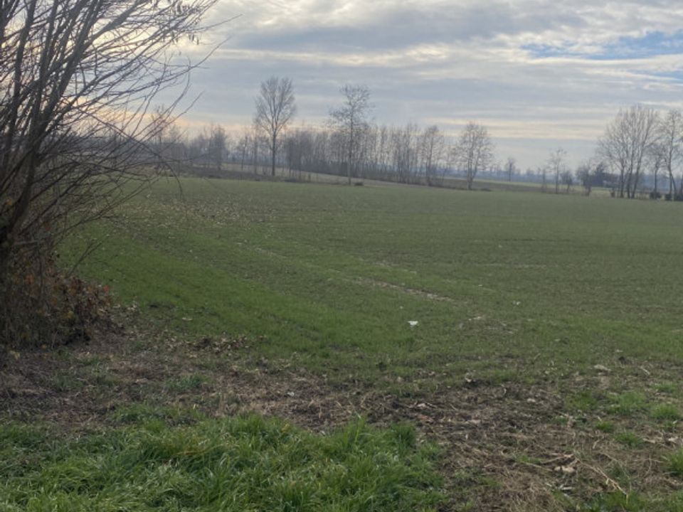 Helårsgrund i Arzergrande, Padua - foto 2