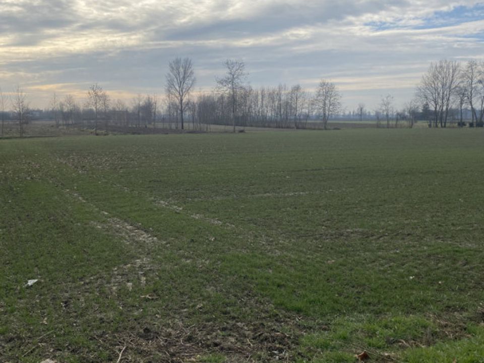 Helårsgrund i Arzergrande, Padua - foto 4
