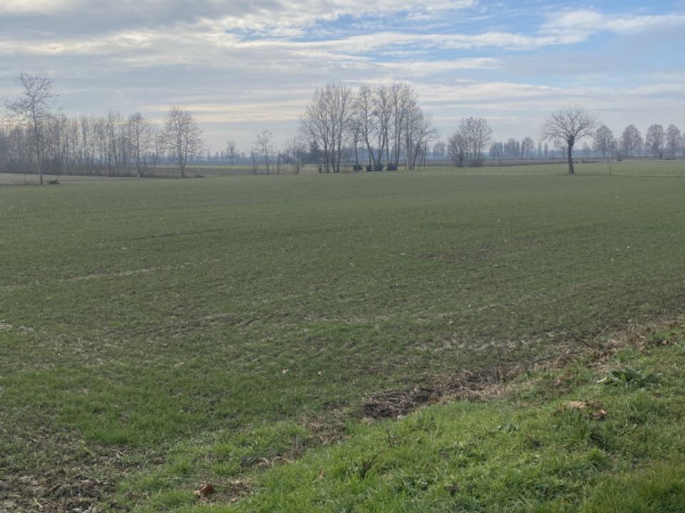 Helårsgrund i Arzergrande, Padua - foto 5