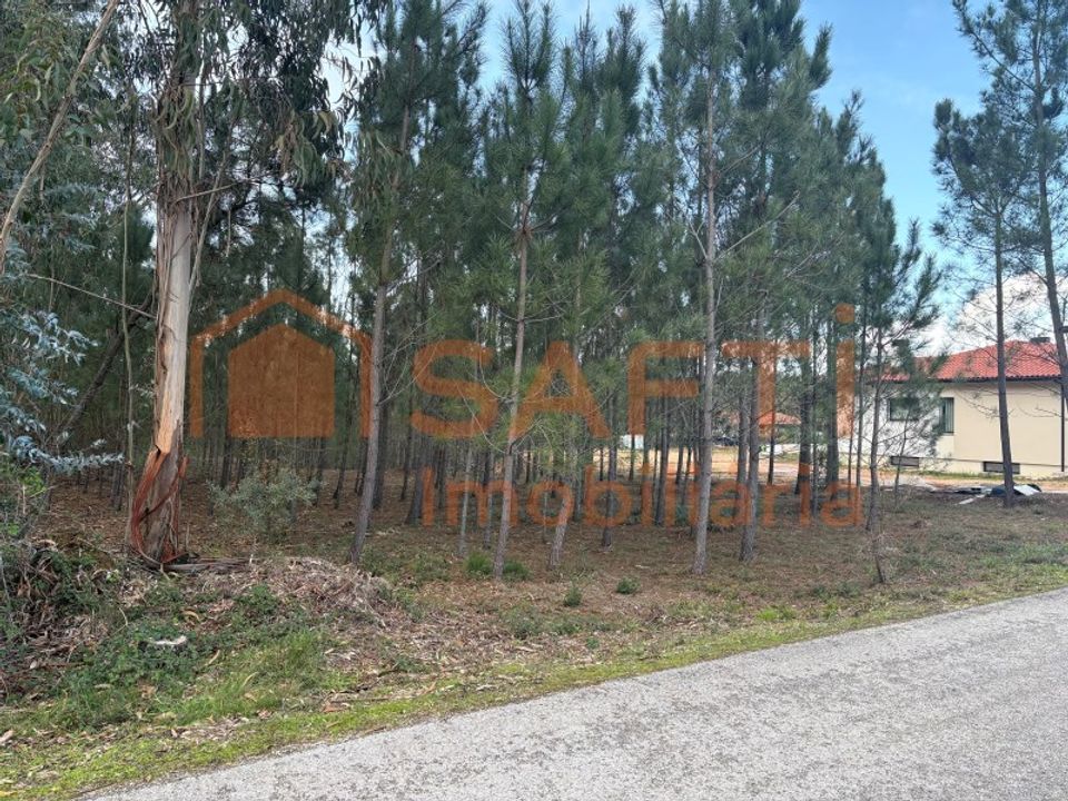 Helårsgrund i Pombal, Leiria - foto 5