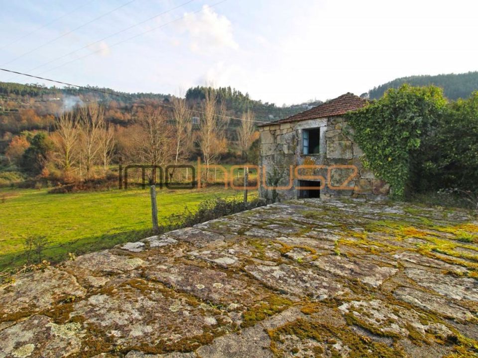 Farm i Tarouquela, Viseu - foto 3