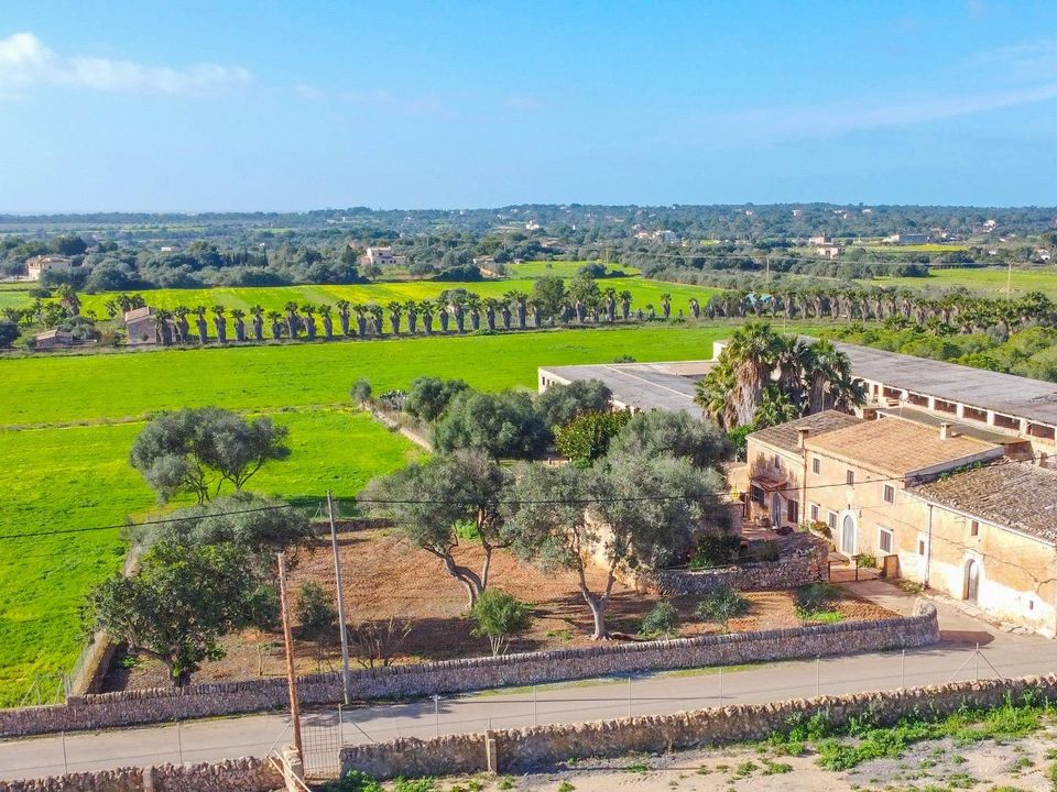 Landejendom i Ses Salines, Mallorca - foto 2