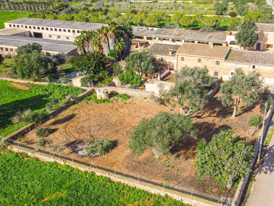 Landejendom i Ses Salines, Mallorca - foto 4