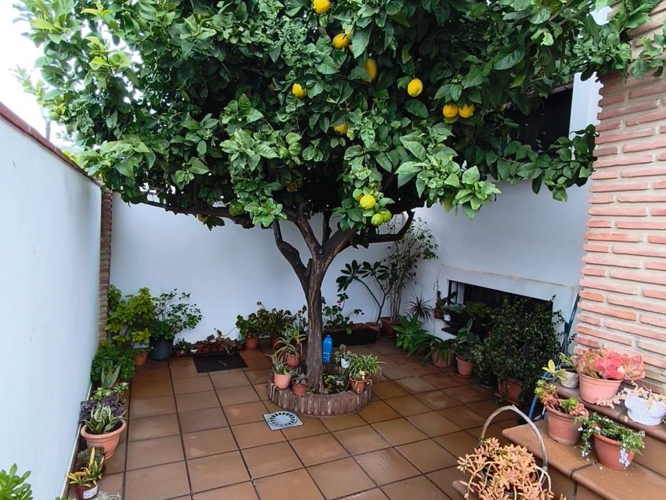 Villa i Fuengirola, Malaga - foto 4
