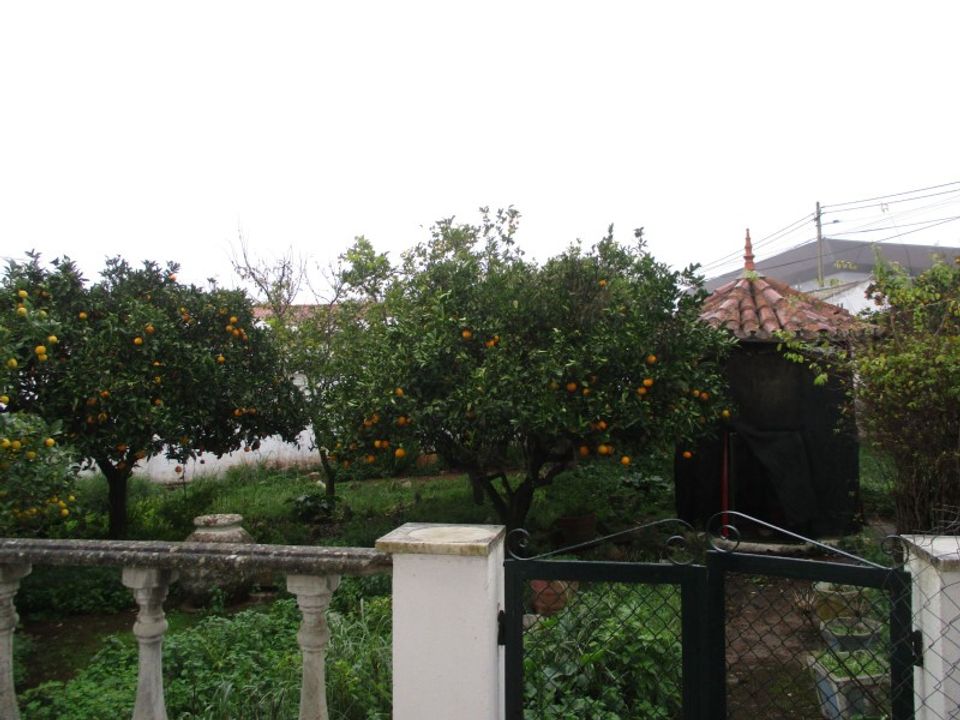 Farm i Estremoz, Evora - foto 2