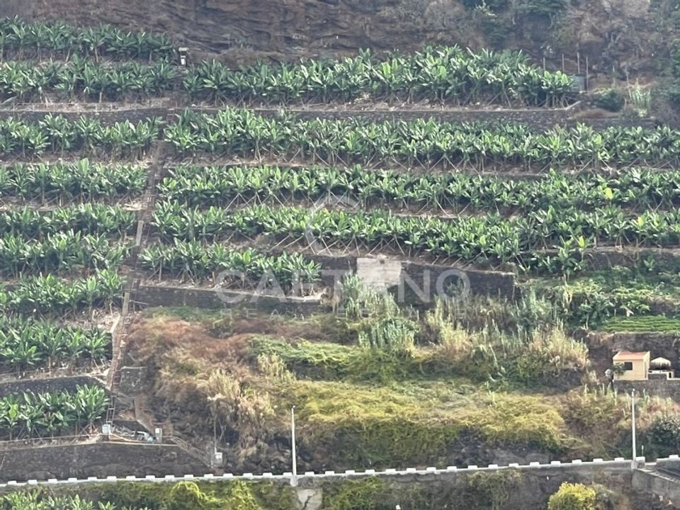 Helårsgrund i Ribeira Brava, Madeira - foto 2