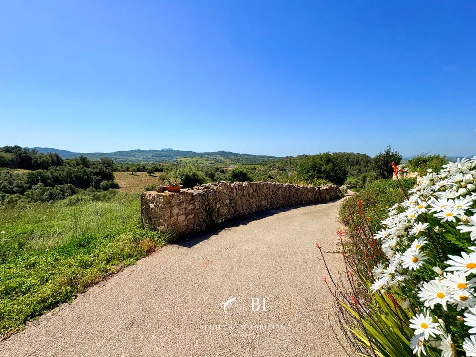 Finca i Manacor, Mallorca - foto 4
