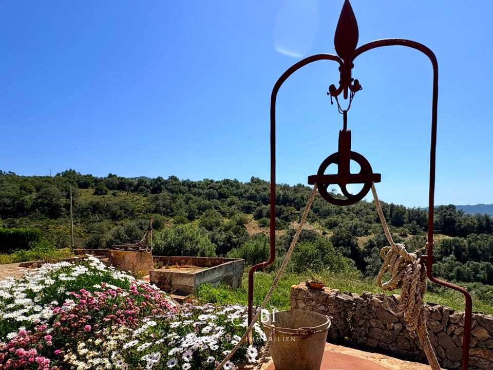 Finca i Manacor, Mallorca - foto 2