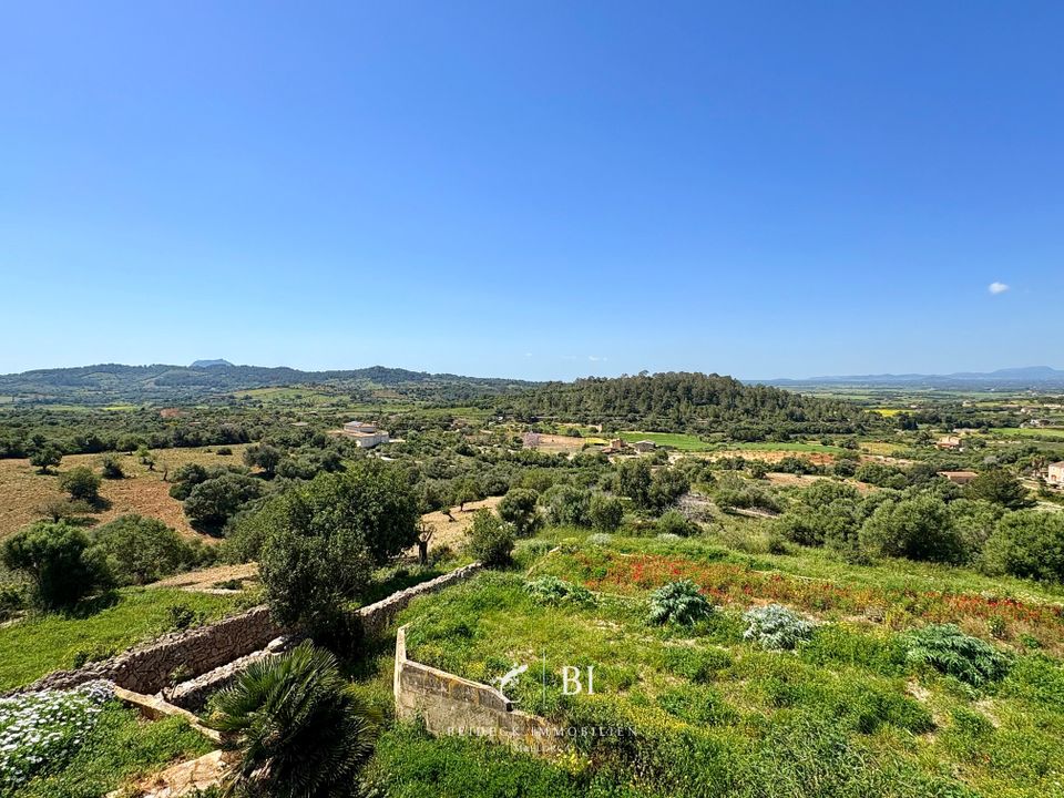 Finca i Manacor, Mallorca - foto 3
