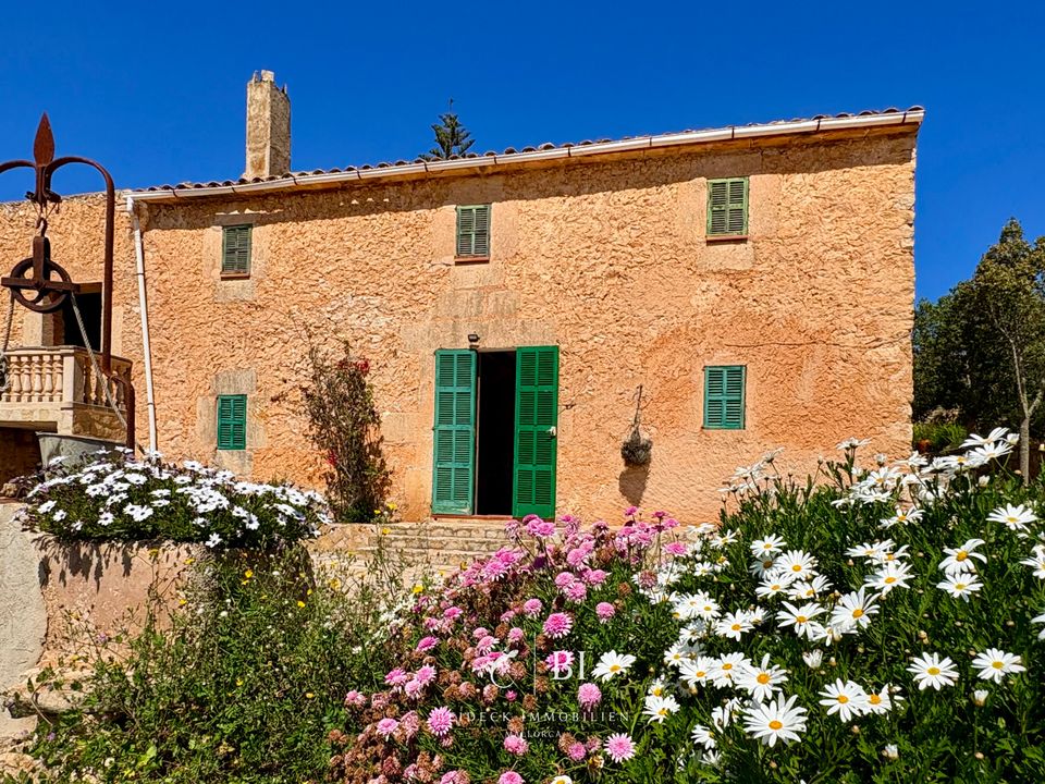 Finca i Manacor, Mallorca - foto 5