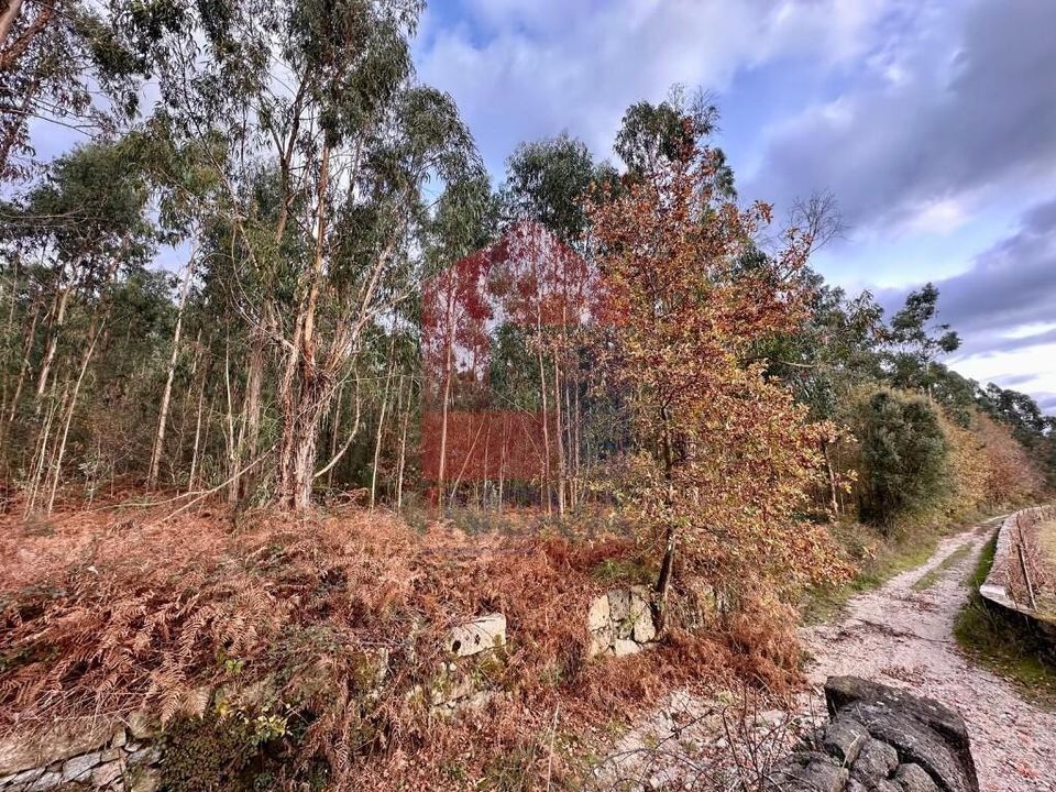 Helårsgrund i Vila Verde, Braga - foto 1