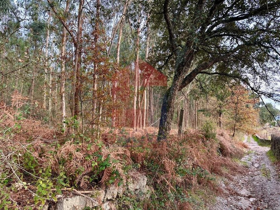 Helårsgrund i Vila Verde, Braga - foto 2