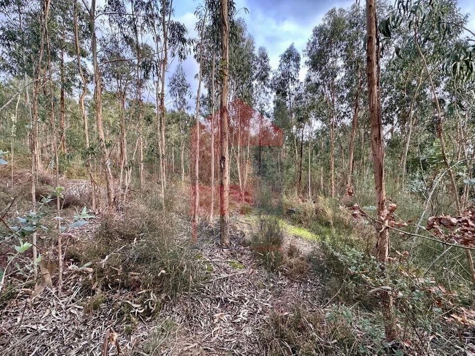 Helårsgrund i Vila Verde, Braga - foto 3