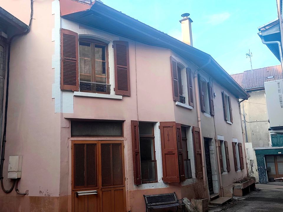 Landejendom i Saint-Geoire-en-Valdaine, Isere - foto 1