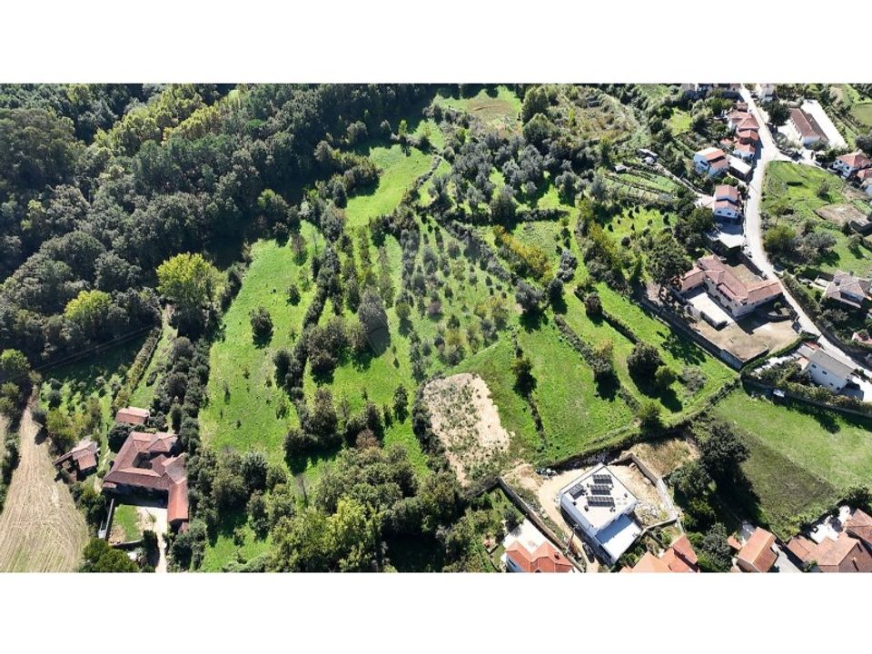 Farm i Cabeceiras de Basto, Braga - foto 5