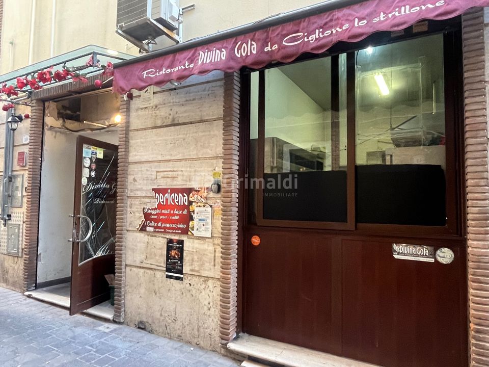 Erhvervsejendom i Nettuno, Rome - foto 1