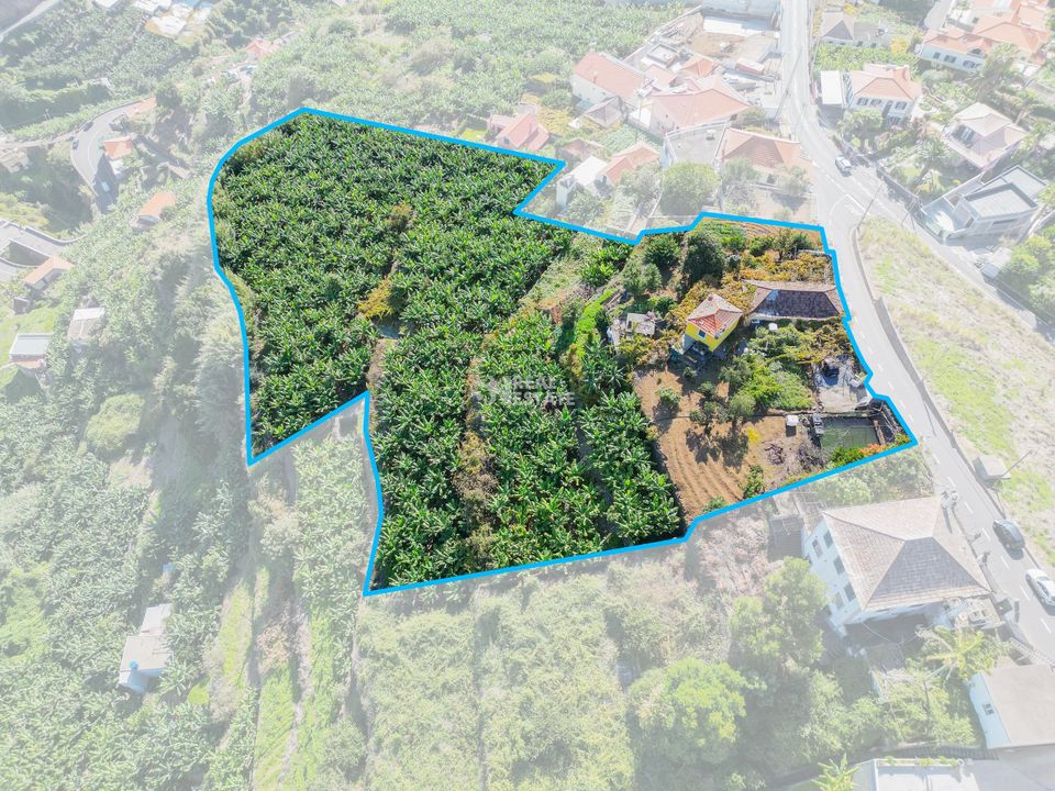 Villa i Ponta do Sol, Madeira - foto 4