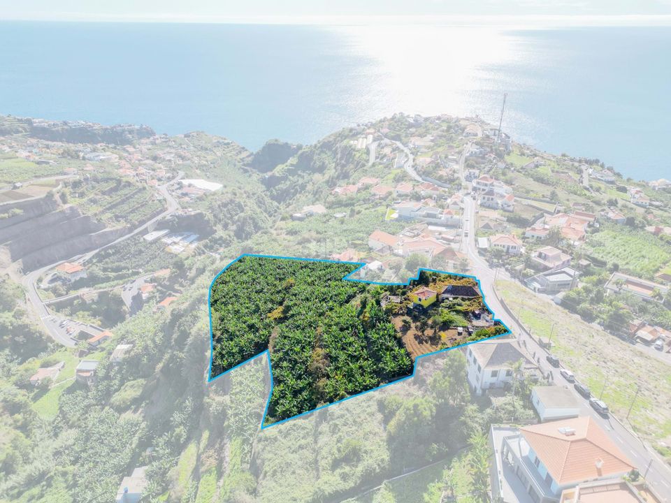 Villa i Ponta do Sol, Madeira - foto 5